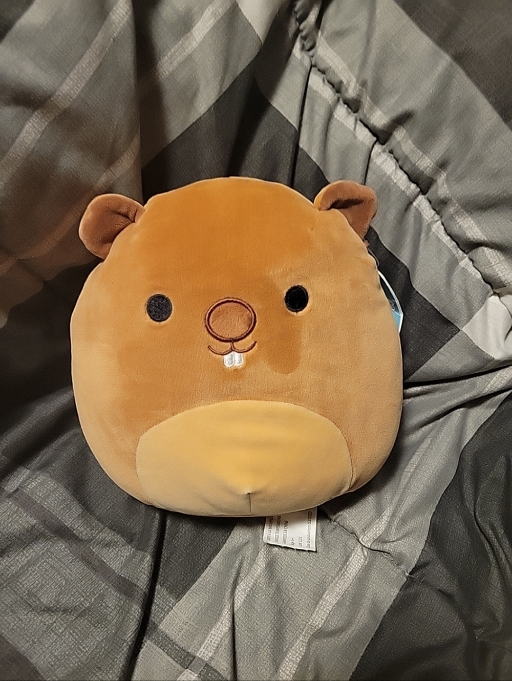 Gilbert The Beaver Squishmallow